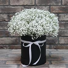Цветочная композиция из Гипсофила в шляпной коробке #REPLACE_PRED# городе Шелехов